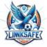 济南林凯赛福